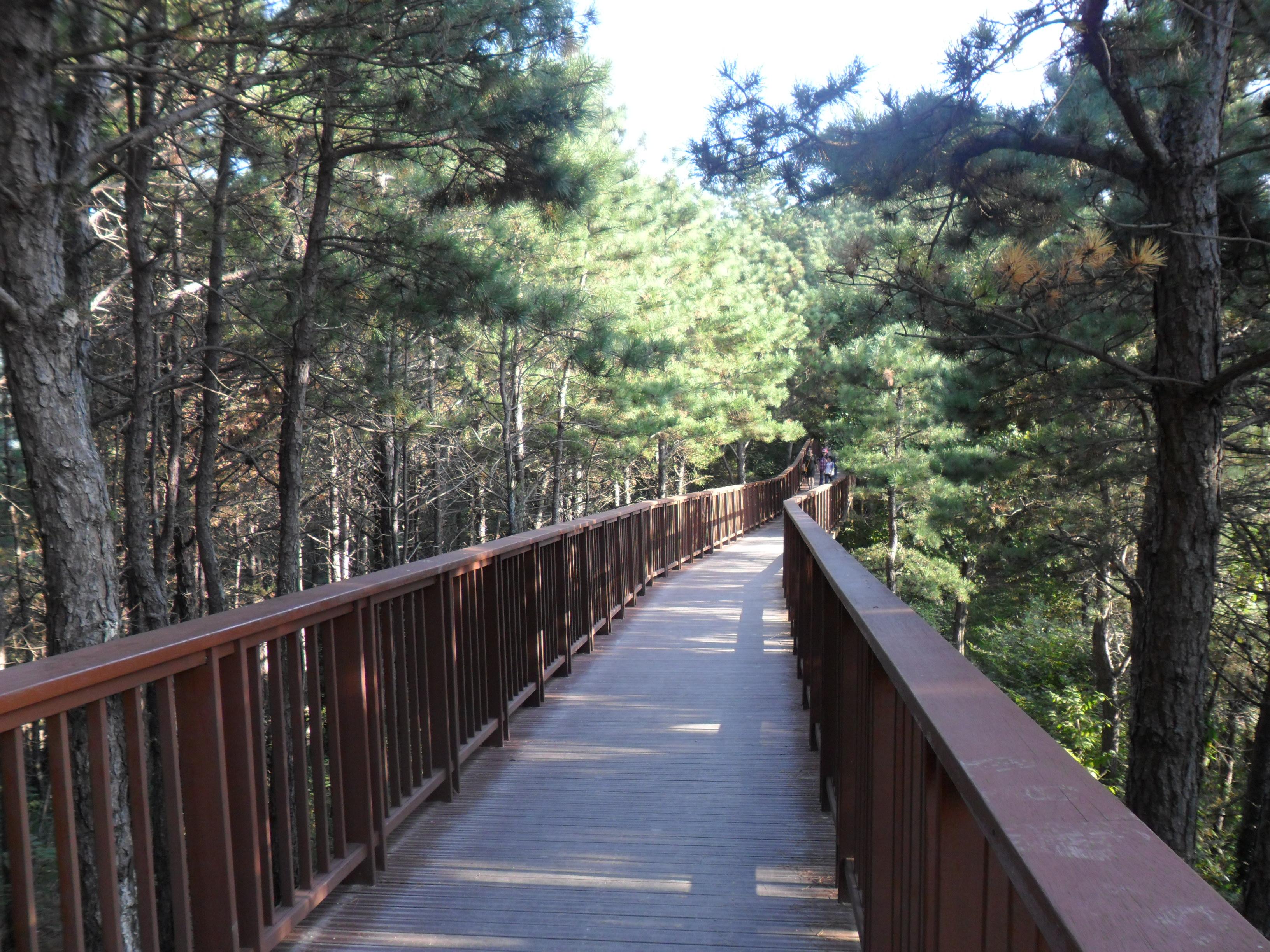 Si me caí, es porque estaba caminando. Y caminar vale la pena, aunque te caigas