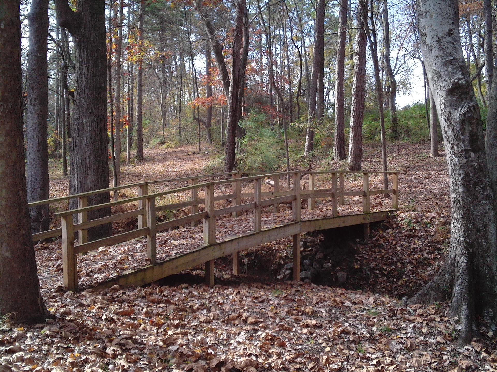 Que otros se jacten de las páginas que han escrito