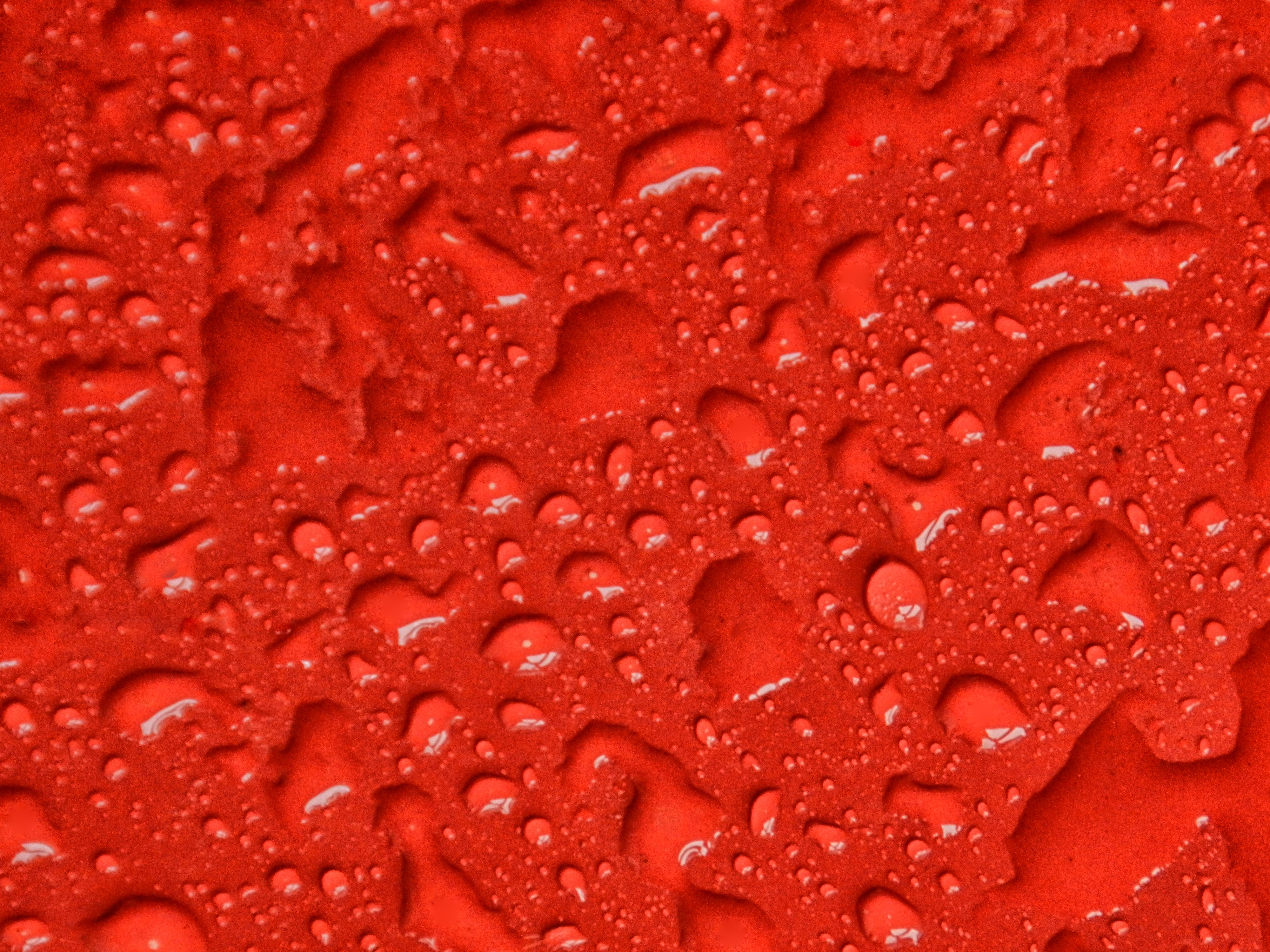 El llanto es tan saludable como el sudor y más poético