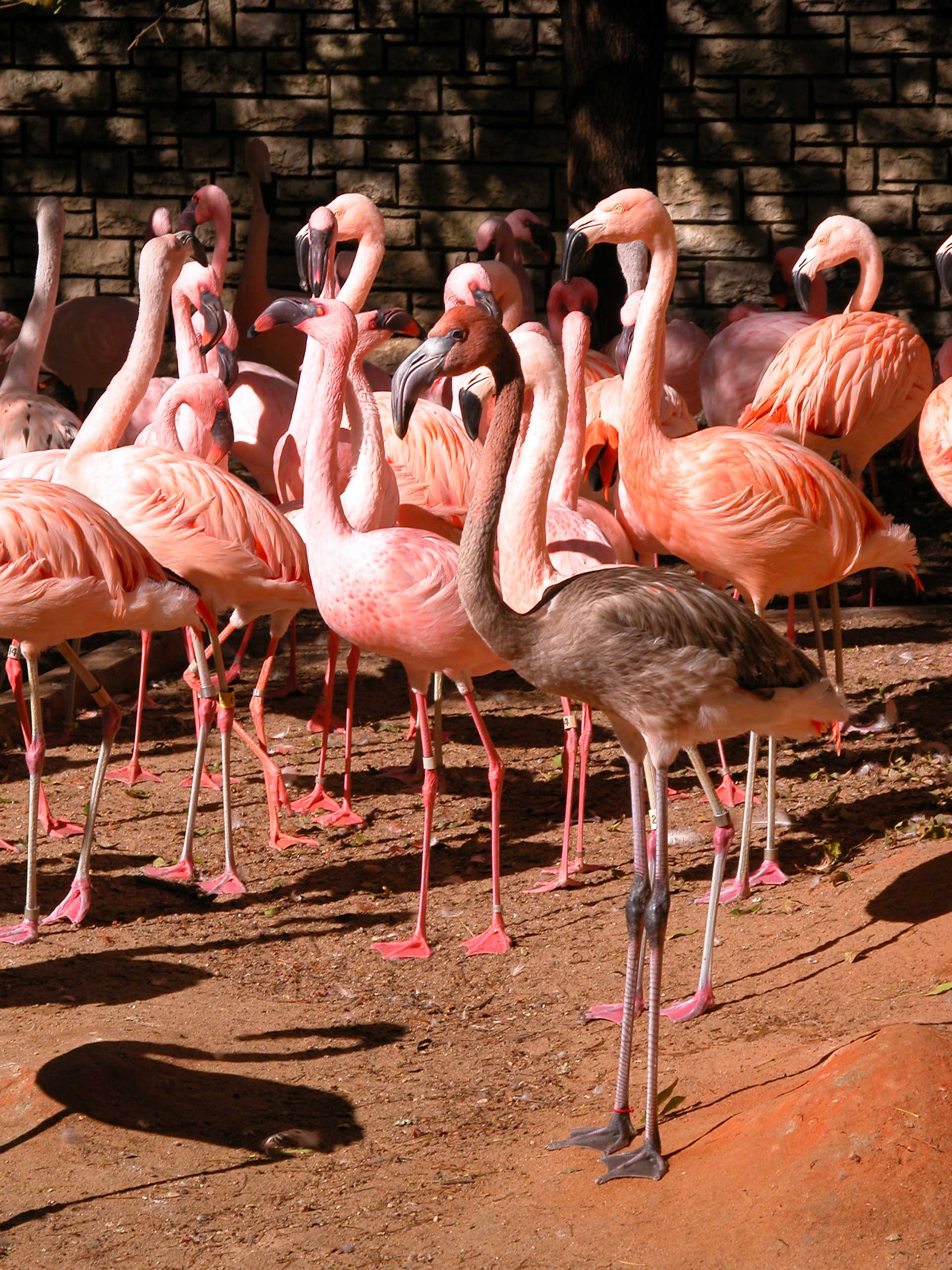 Nadie nace odiando a otra persona por el color de su piel, o su origen, o su religión