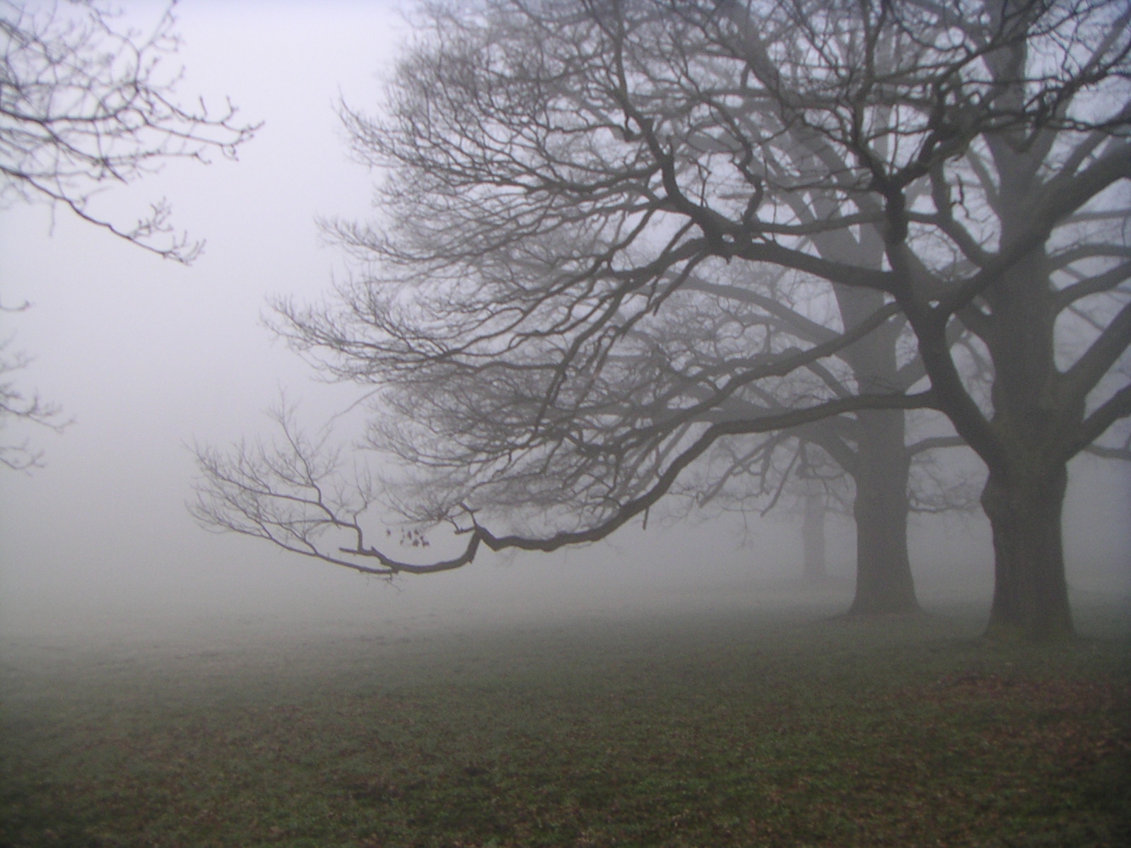 Ser celoso es el colmo del egoísmo, es el amor propio en defecto, es la irritación de una falsa vanidad