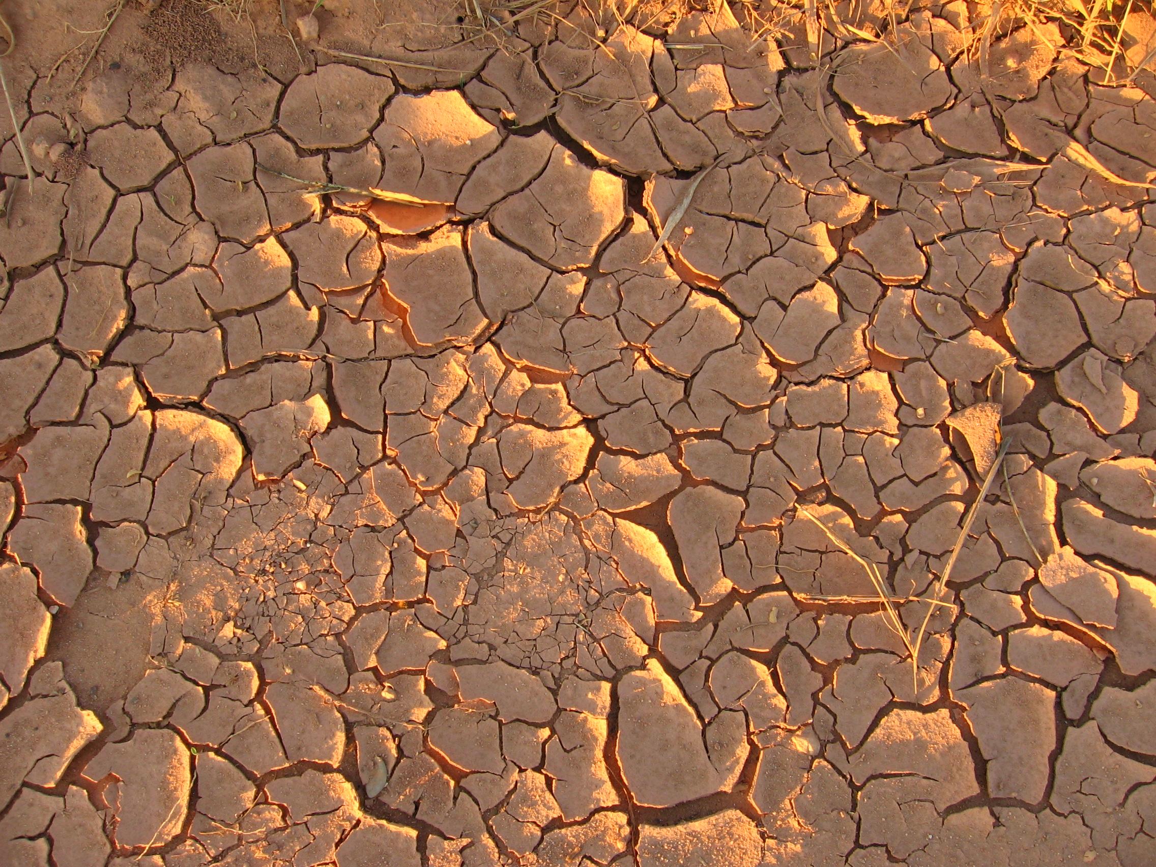 Me parece absurdo que los hombres quieran parecer otra cosa que lo que ellos son