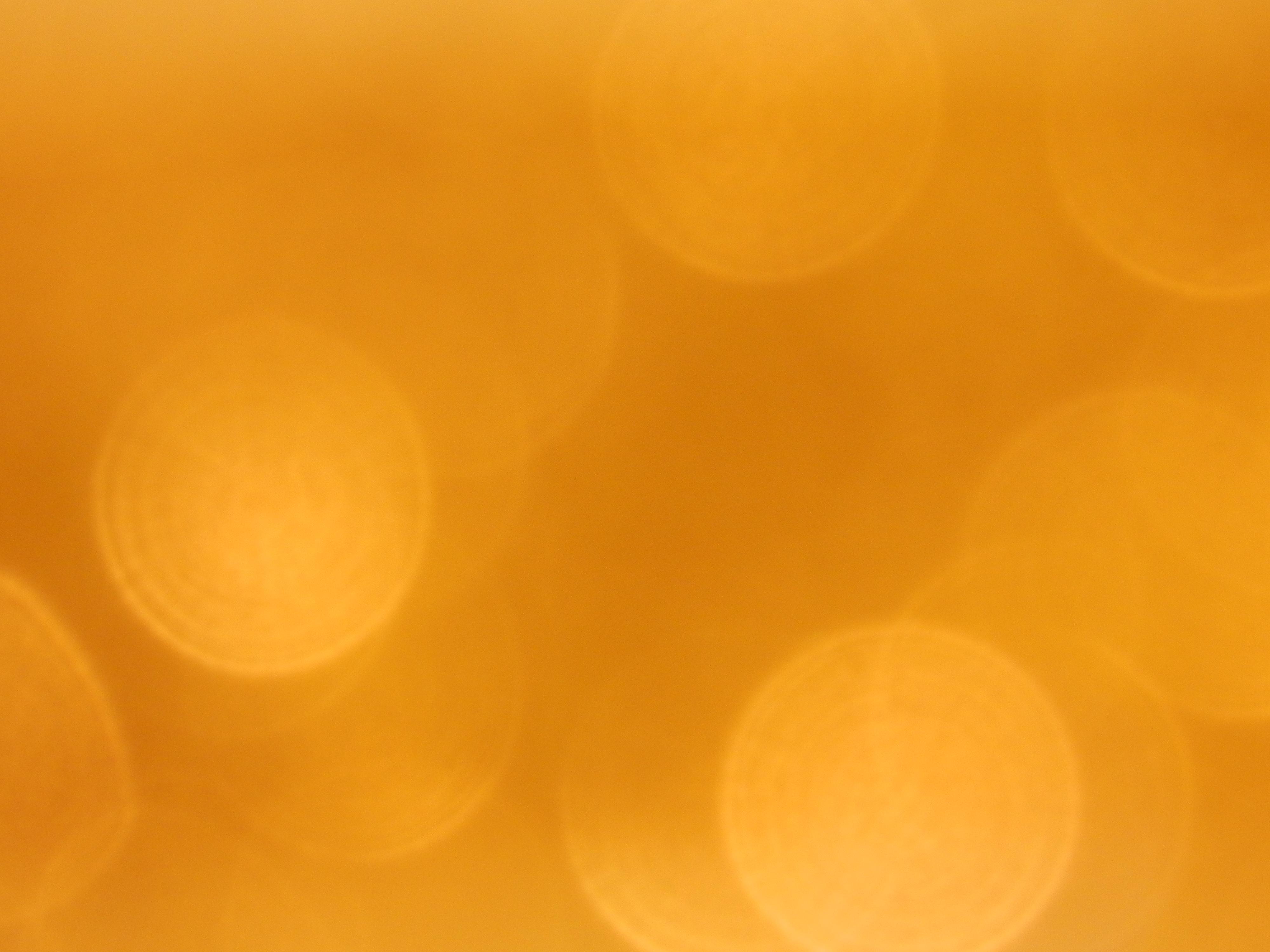 Encuentra bello todo lo que puedas; la mayoría no encuentra nada suficientemente bello