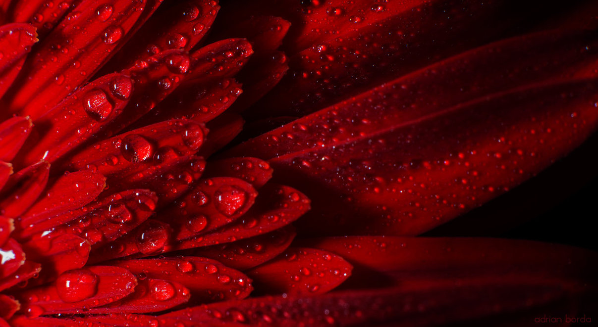 El amor no tiene edad; siempre está naciendo