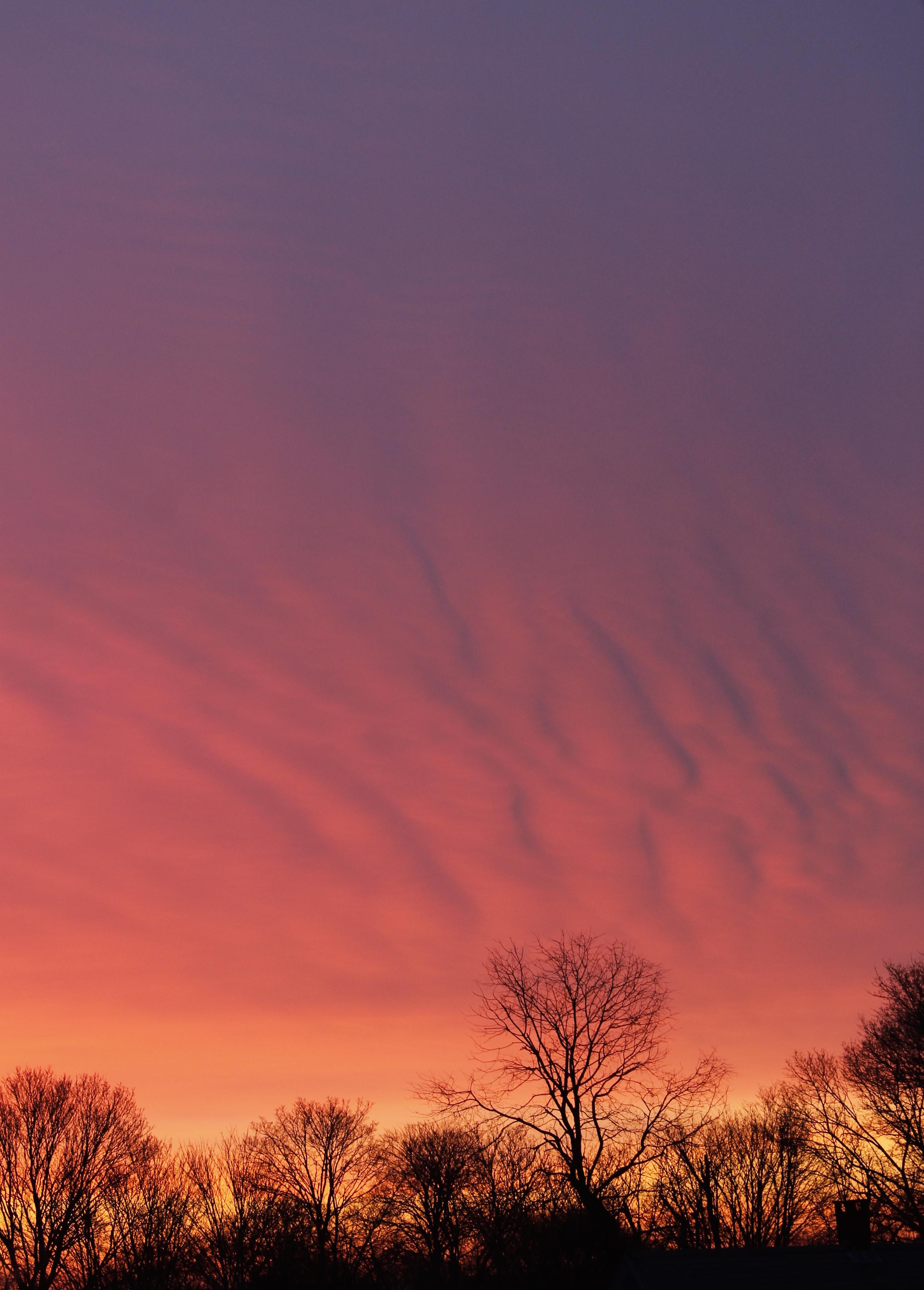 Dejar ir el pasado no es olvidar, es darle una oportunidad al futuro