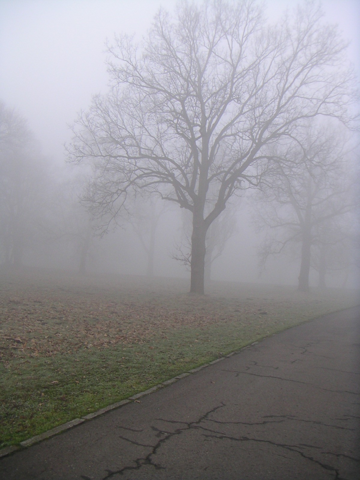 Donde se pierde el interés, también se pierde la memoria